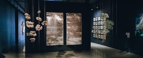 Visit the International Biennale of Ecological Art 