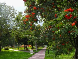 Центральный парк
