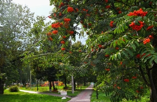 Центральный парк