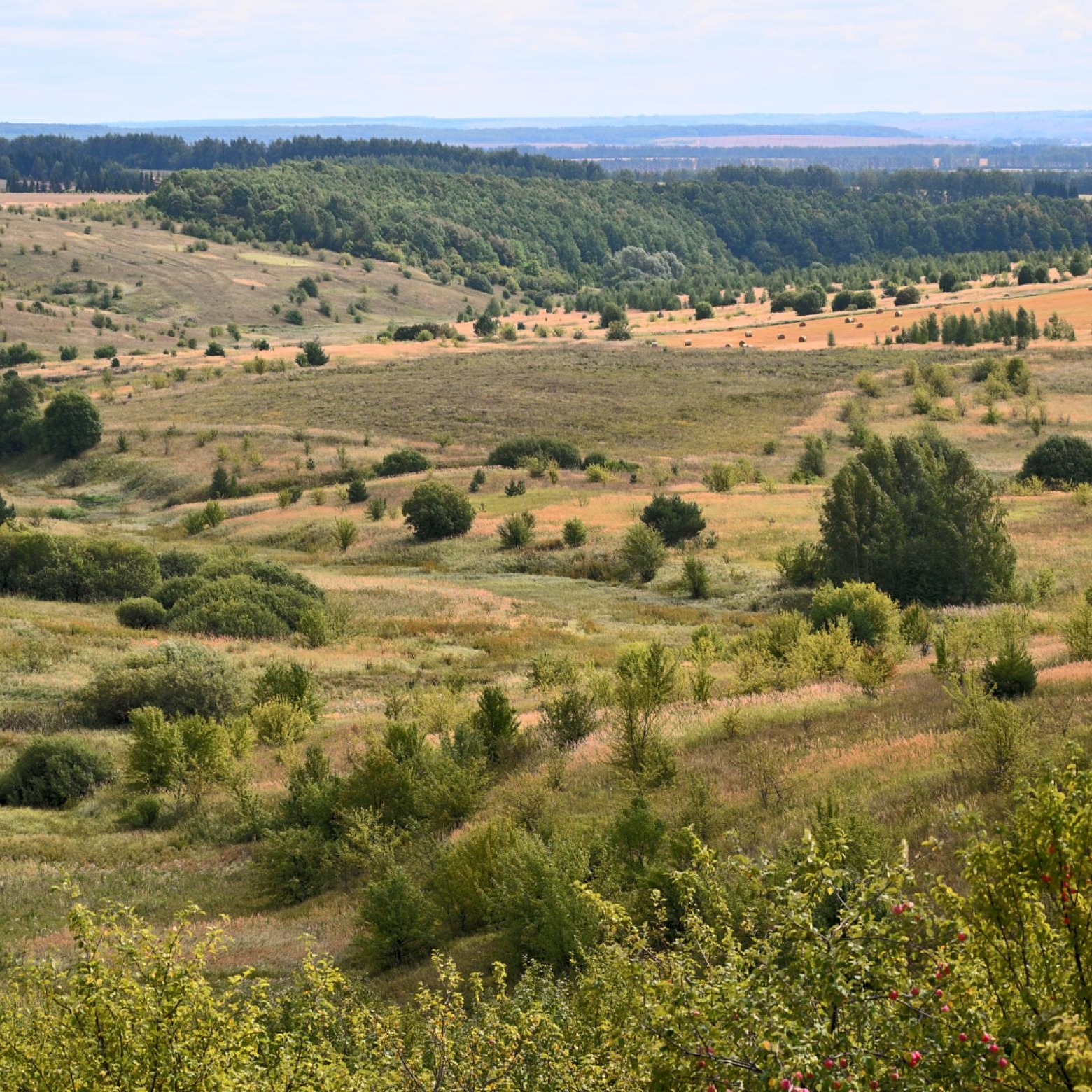 Бутурлино