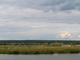 Пойма реки Пьяна