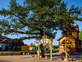 The larch of Tsarevich Alexei