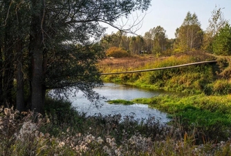 Test yourself by walking over the Suspension Bridge