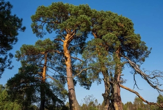 Find an unobvious natural landmark