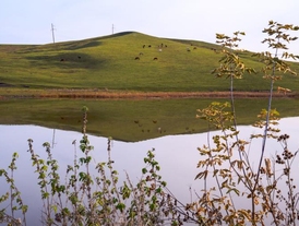 Актуковский пруд
