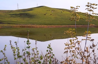 Актуковский пруд