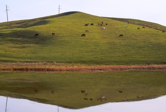 Добраться до священного камня Тараташ