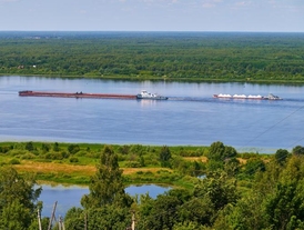 Лысая гора