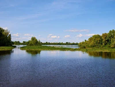 Река Ветлуга