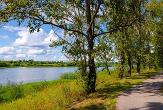 Прогуляться по парку