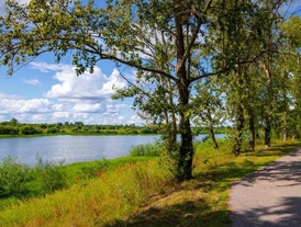 The Green Lake Park