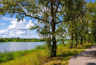 Take a walk in the park