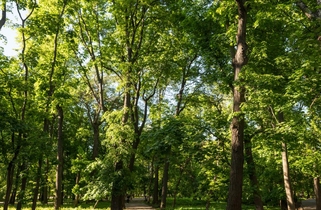 Парк Кулибина
