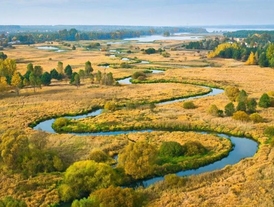 Река Пьяна