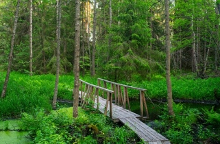 The Osinki Sacred Well