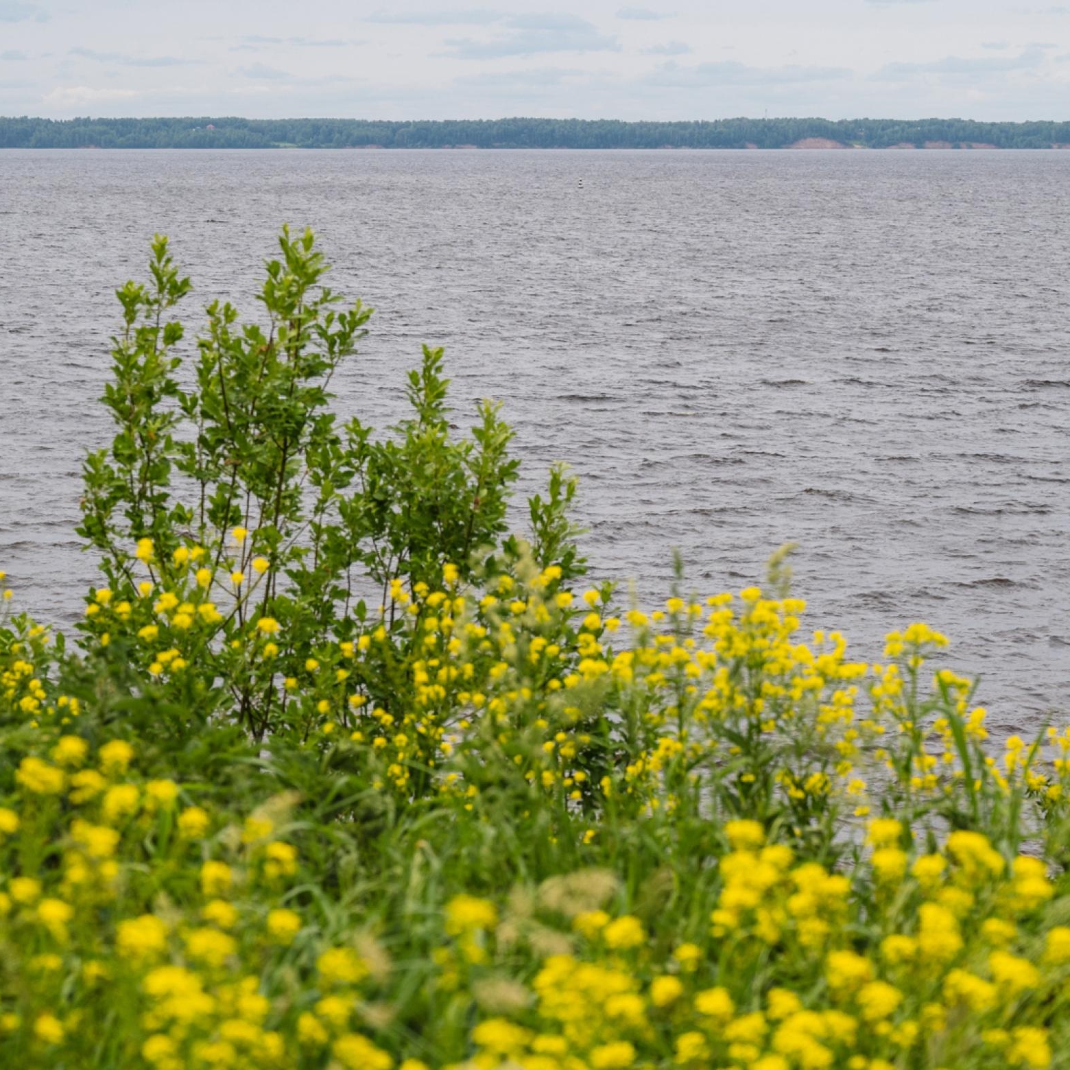 Сокольское