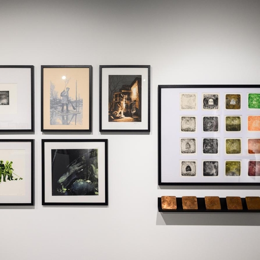 Студия «Тихая»