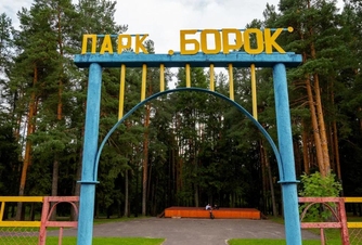 Посетить футбольный матч на стадионе «Энергетик» в парке «Борок»