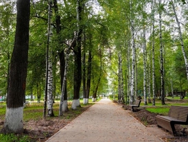 Central Park