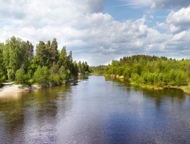 Керженский заповедник