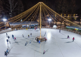 Каток в парке Швейцария