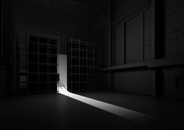 Болотоведение. Совместное исследование художников и ученых