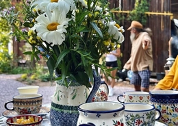 The Protected Areas - a first glimpse