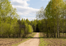Эко-тропа «Копорье»